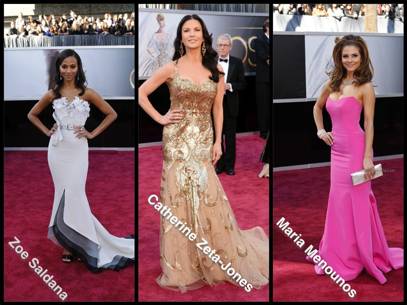 2013 Oscars Best Dressed Celebrities on The Red Carpet